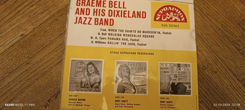 Disc vinyl străine și românești