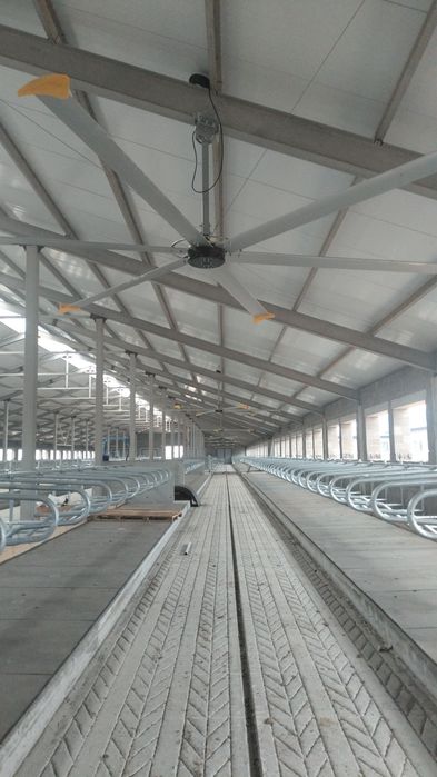 Битон жумыс жасаимыз лубои