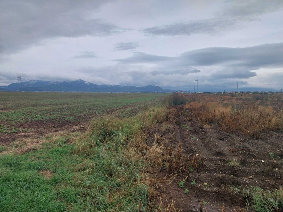 Teren intravilan si extravilan, 33100 mp, Tarlungeni, 200000 euro