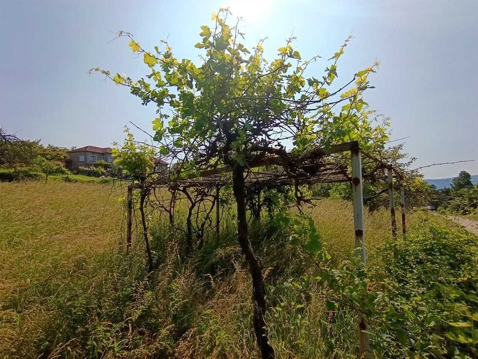 Продава се Парцел в с. Ловнидол, Област Габрово - 1750 кв.м за 8 €/кв.м - Снимка #5