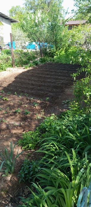 Продам срочно дом