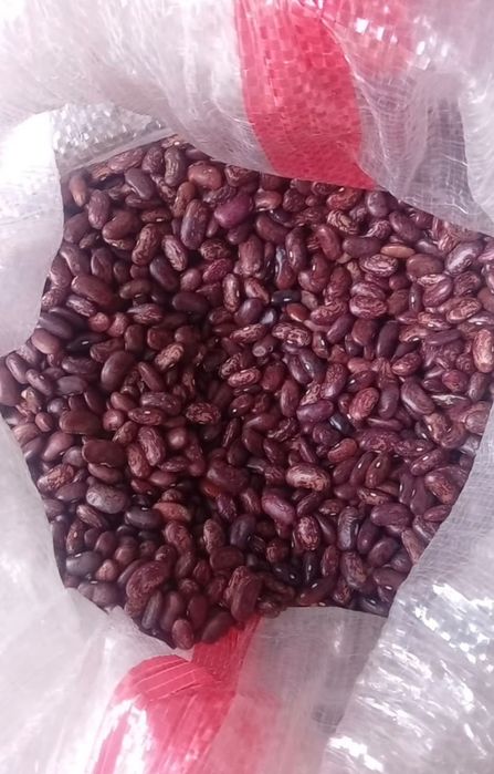 Продам рис Нут фасоль Маш