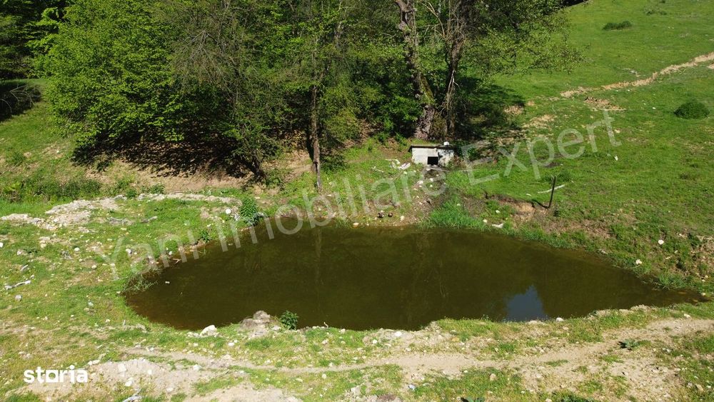 Teren cu stană de vânzare în apropiere de Curtea de Argeș.