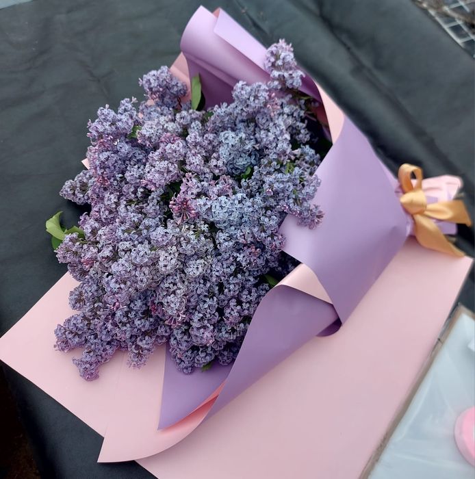 Продам Сирень на срез