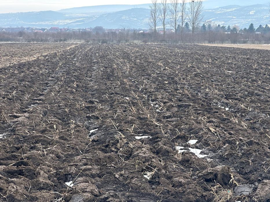 Teren Dancu deschidere la doua drumuri