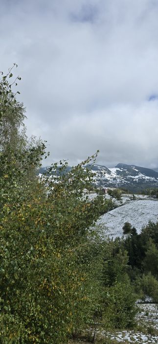 Ofertă de vânzare teren intravilan – sat Peștera, comuna Moeciu