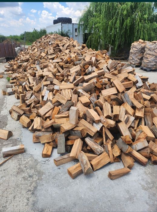 Lemne de foc Oferta Reduceri