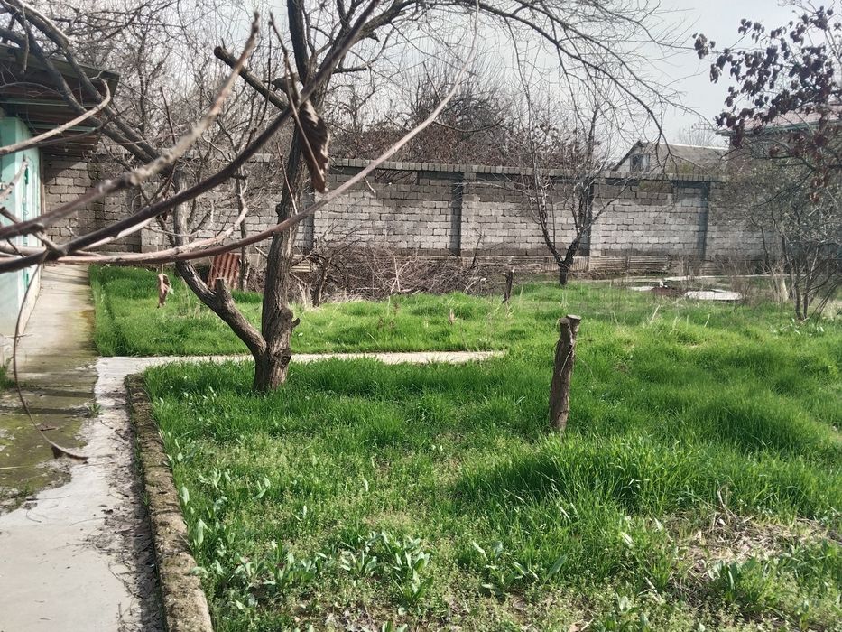 Parkentdan er ijaraga