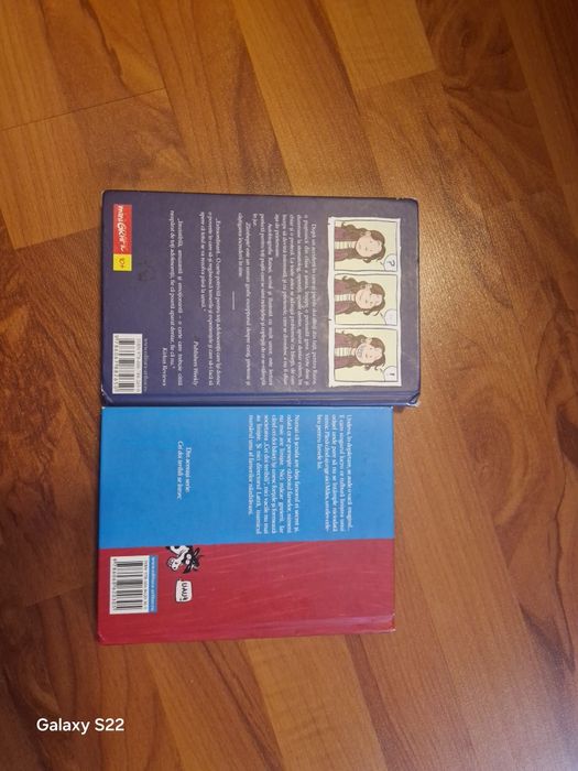 Zâmbește! Și Cei doi teribili