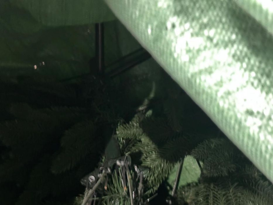 Новогодняя ёлка