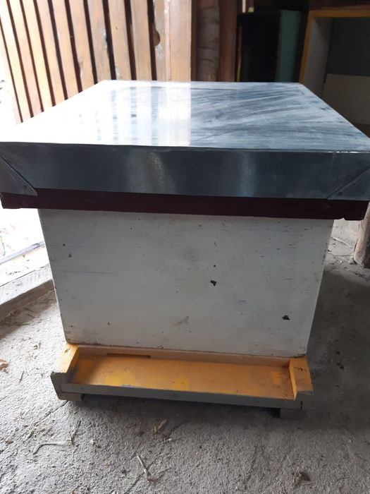 Vand stupi/rame/roinite/sistem crestere matci