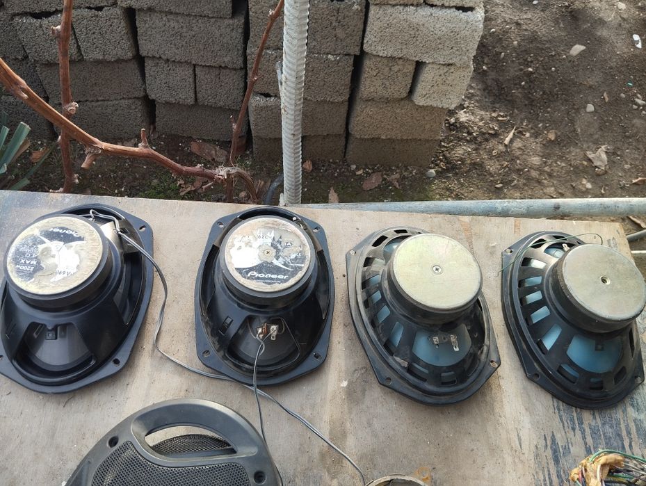 Kalonka kalonka kalonak