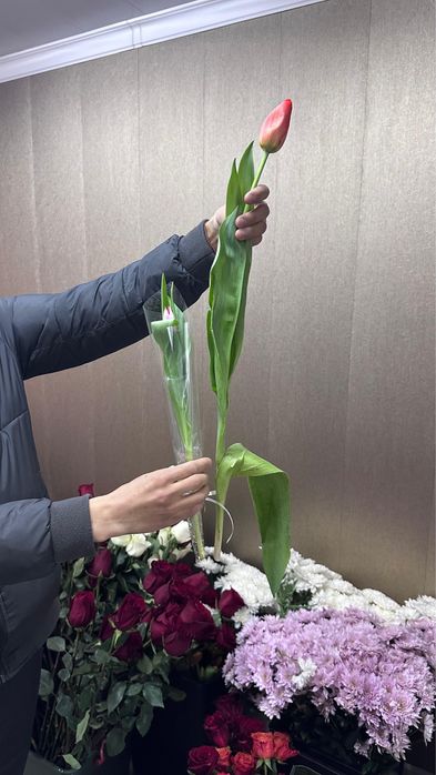 Высокие тюльпаны оптом и в розницу