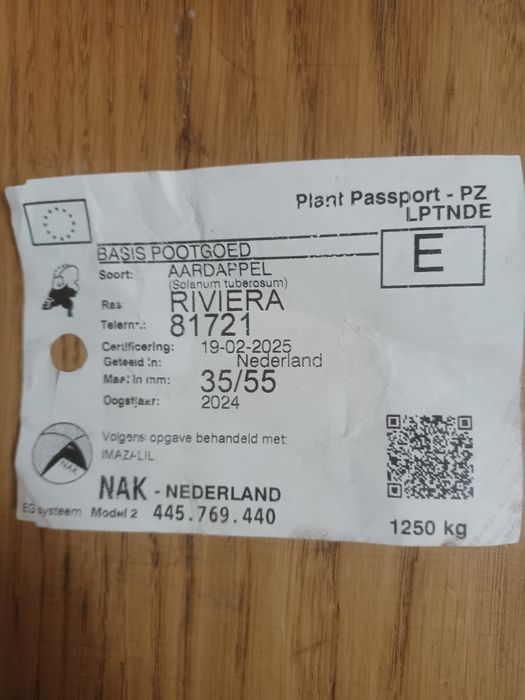 Cartofi riviera, arizona, esmee, alouette samanta certificata din elit