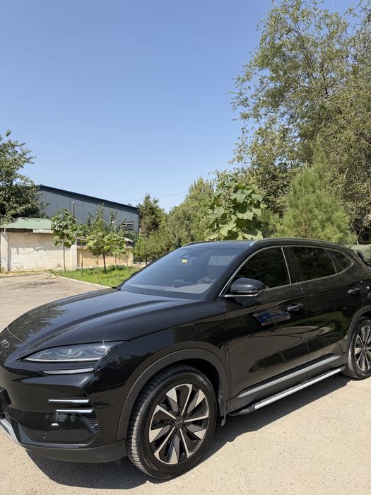 Byd champion res 605