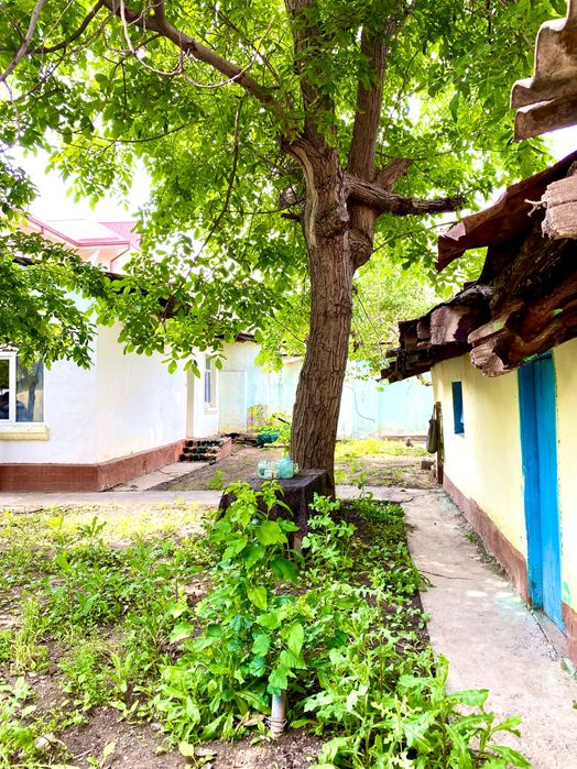 Продается дом с участком, уникальное месторасположение!