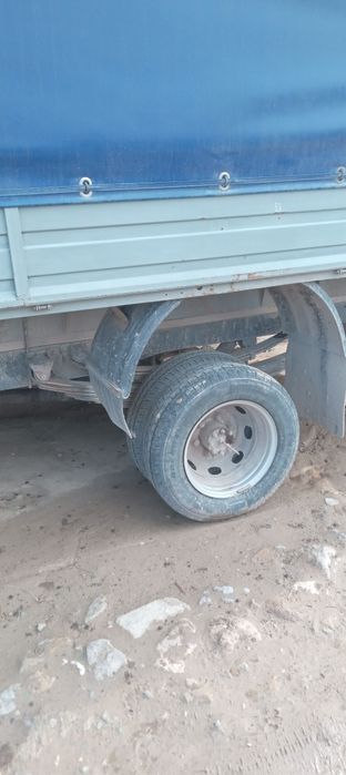 Gazel sotiladi 5500$