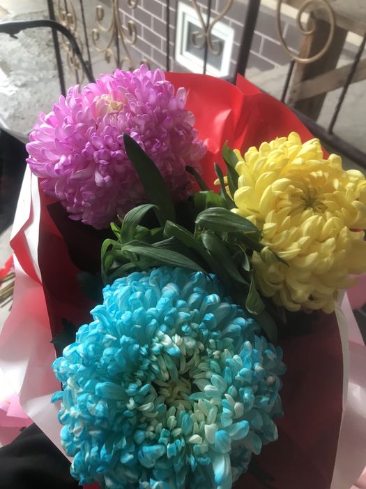 Гул сатылады арзанырақ бағада