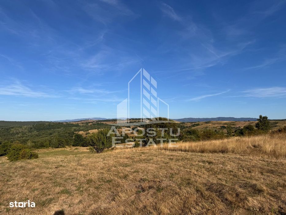 Teren de 50.000mp, priveliste panoramica spre munte si lac, Hunedoara