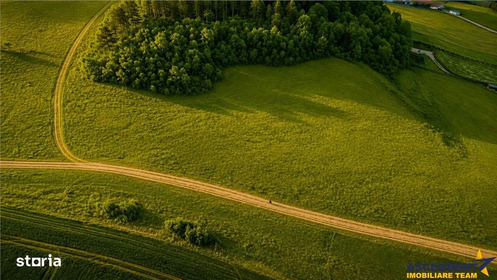 6.000 mp teren granitat de liziera compacta de padure, ecran natural d