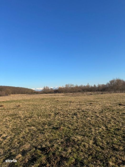 Oaza de liniste cu vedere la munti – 2.400 mp langa Aeroportul Sibiu