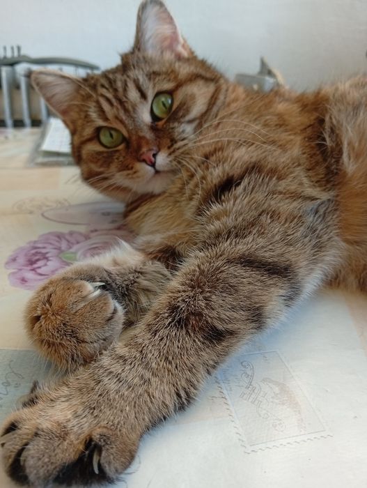 В заботливые руки!!