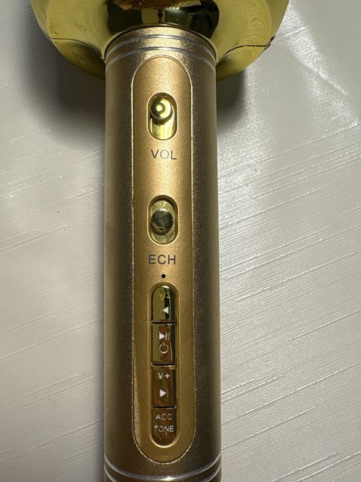 Золотой микрофон