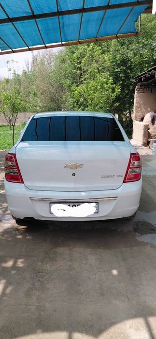 Other Cobalt 2024 — 4