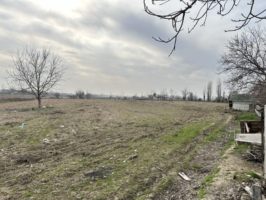 Yer daraxt va kochatlari bilan sotiladi йер дарахт ва кочатлари билан