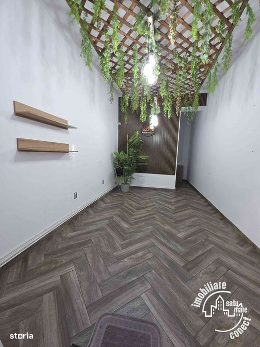 Spatiu Comercial,