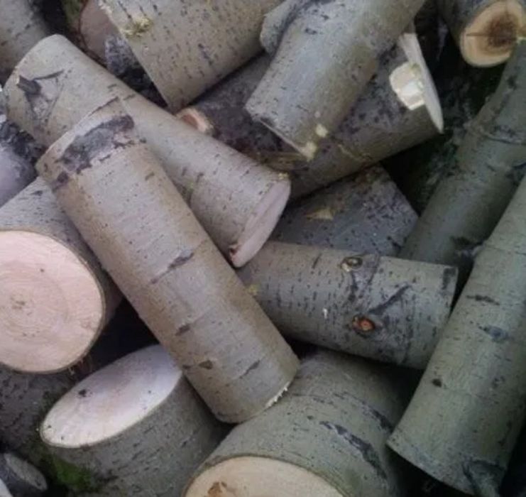 Сырая осина. Деформация древесины. Горбыль пиленый. Брус на дрова в кургане. Лес кругляк пиловочник.