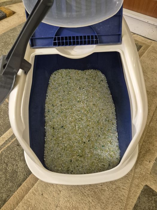 Отдадим кошку в добрые руки