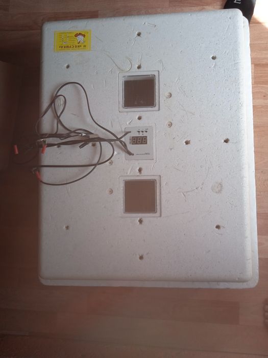 Инкубационные яйца. Инкубатор .