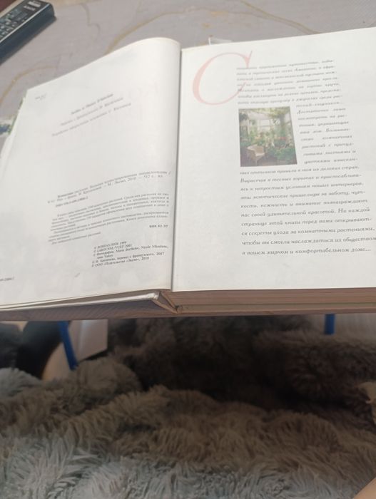 Книга о комнатных растениях