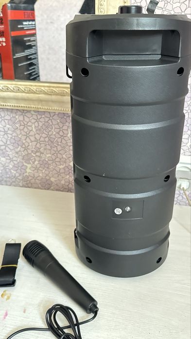 Калонка с микрофоном