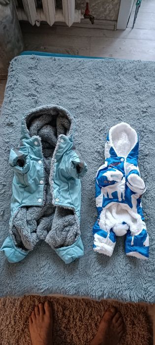 Продам комбинезон  для собаки