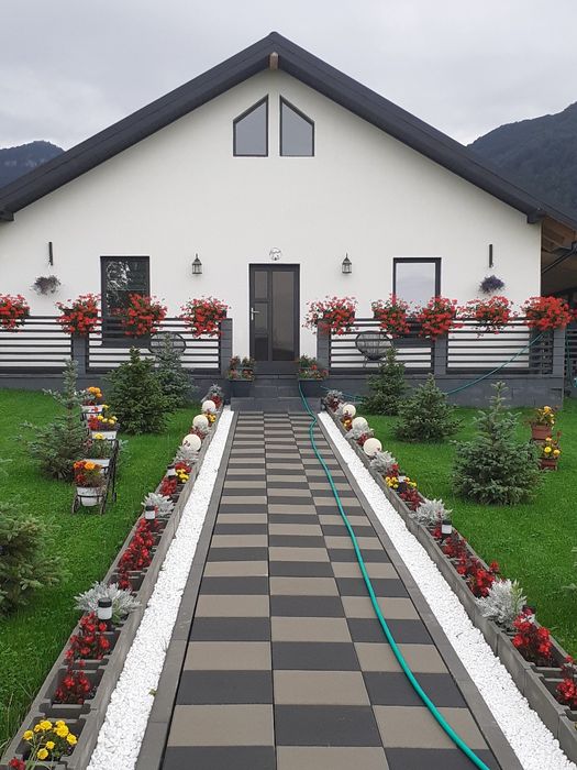 Casa de vânzare Bran Tohanita