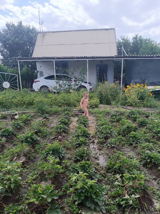 Продам дачу на ПК Автообъединение