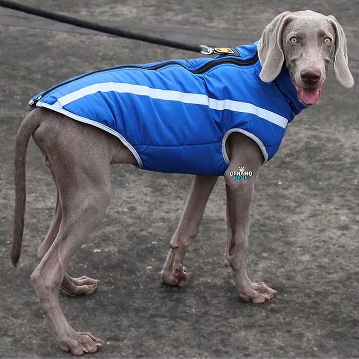 Зимно яке за средни/едри породи кучета Дреха за средно/едро куче