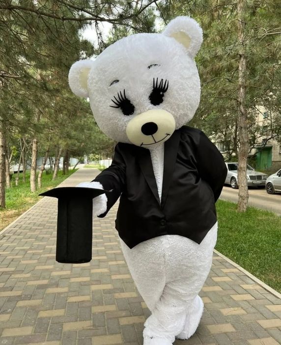 Аниматоры По низкой цене 5000