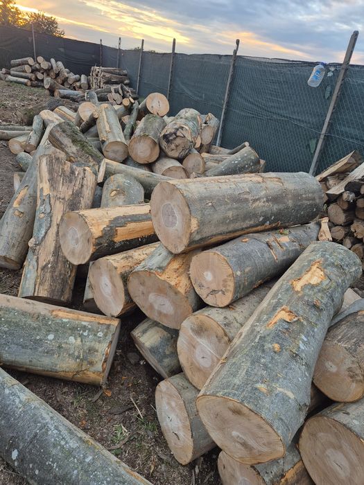 Vindem lemne de foc doar esente tari