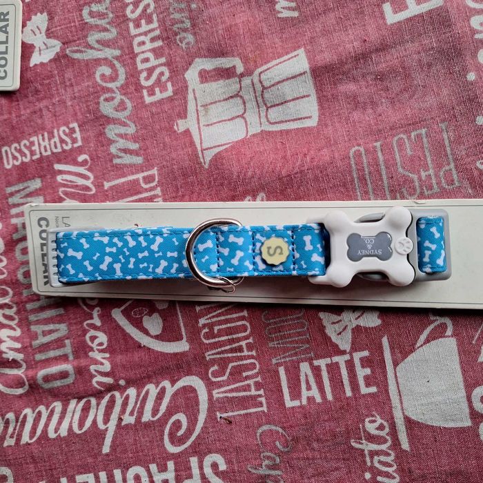 Accesorii catei, zgarda