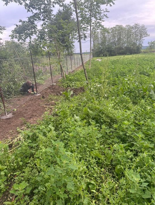 Vand teren intravilan Chiselet Calarasi