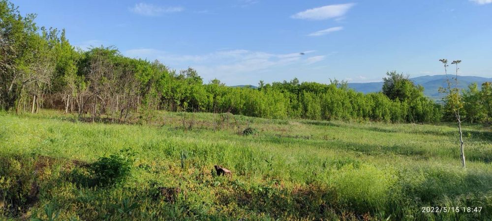 Продава се Къща в с. Поцърненци, Област Перник - 44 кв.м за 1043 €/кв.м - Снимка #12