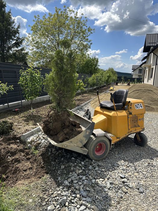 Utilaj pentru pavaj, Rollmops , romox , kinkmops km 50 , minibobcat”