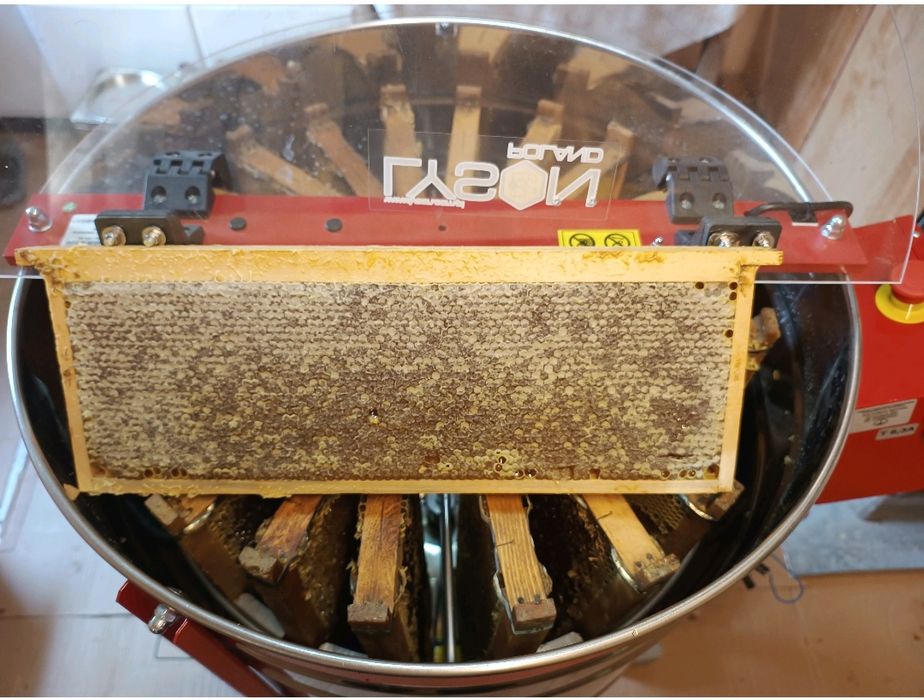 Пчелен мед и пчелни продукти