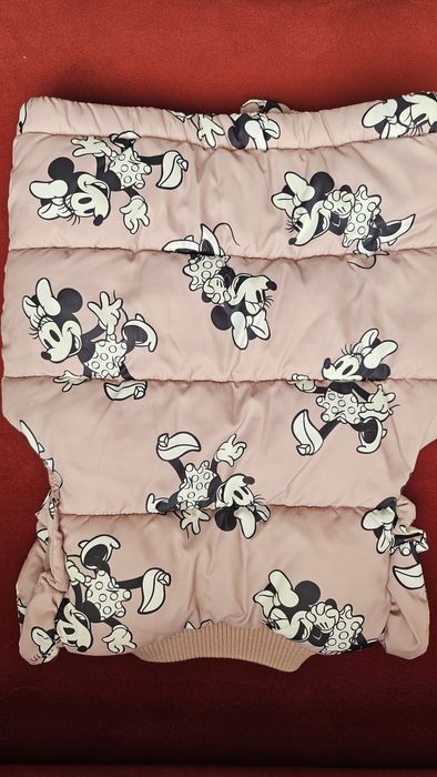 Елек с Мини Маус