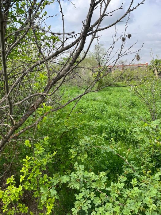 Дача в Арысь за Дендро парком