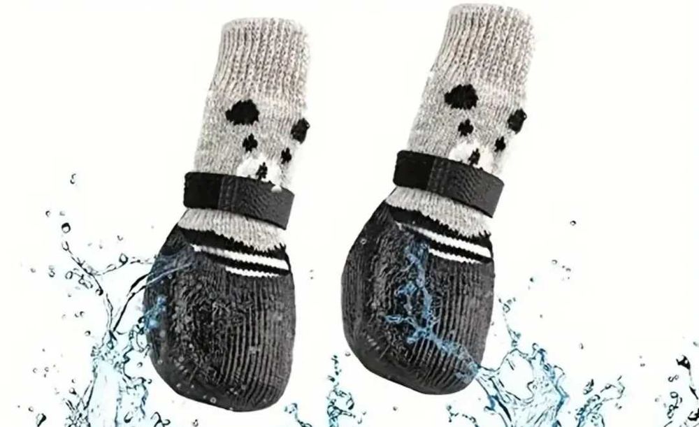 Носочки для вашего питомца