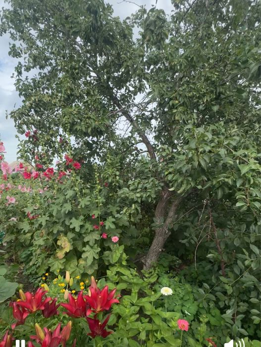 Дача Краснгпартизанское г Костанай